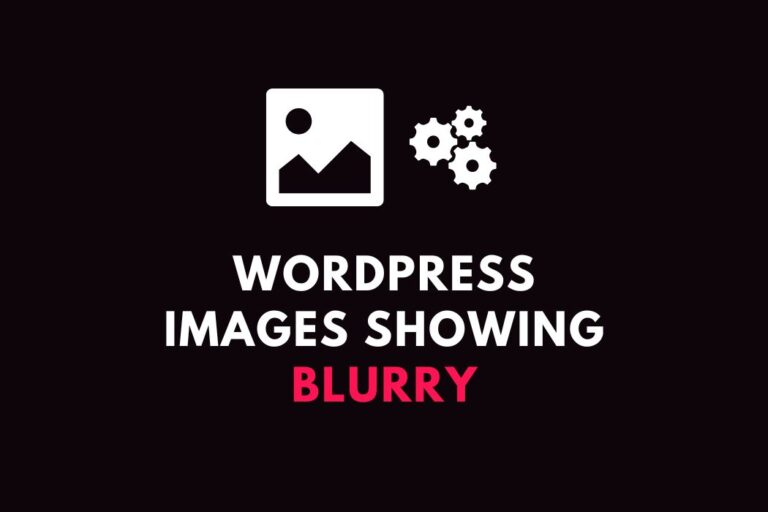 How To Fix WordPress Images Showing Blurry [After Updating]