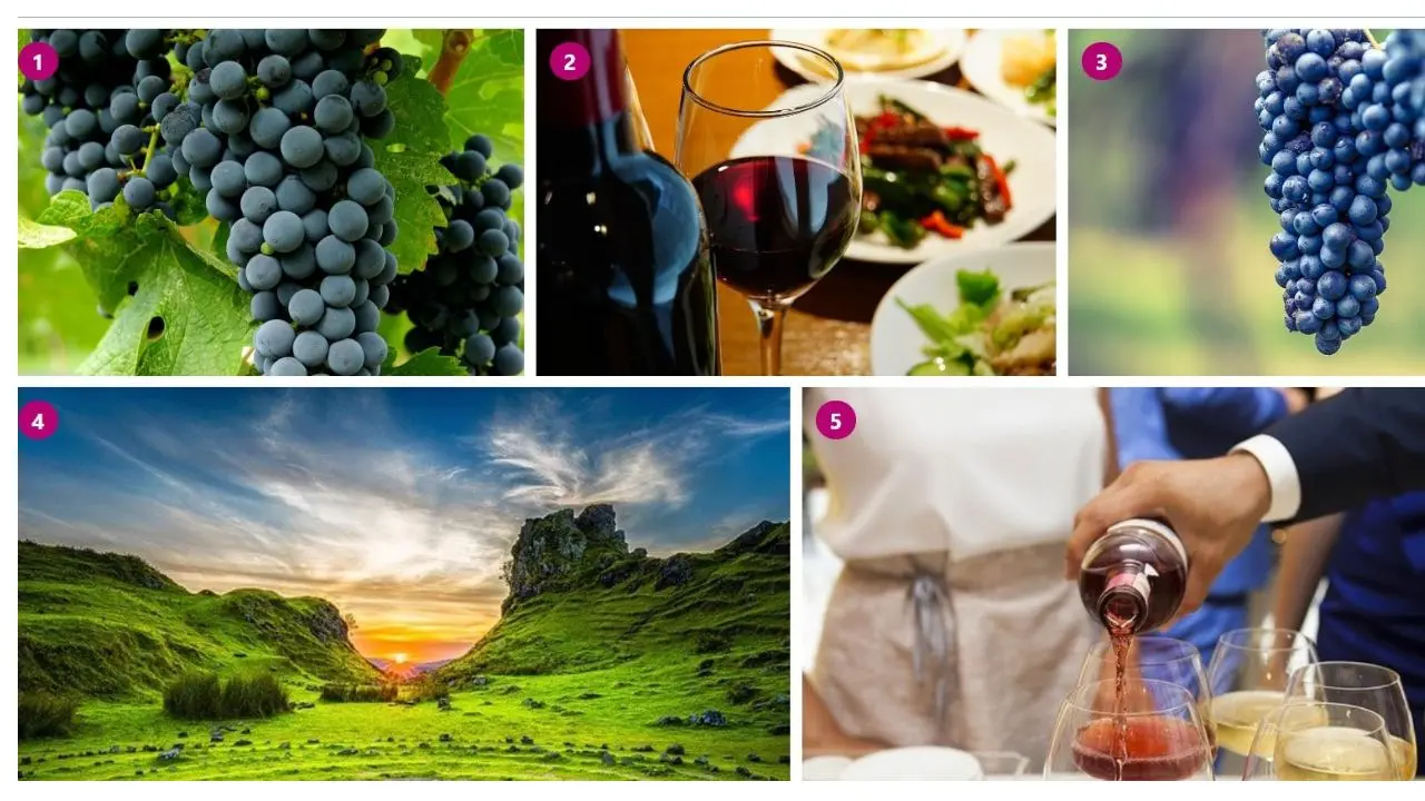 Gallery Numbering vp